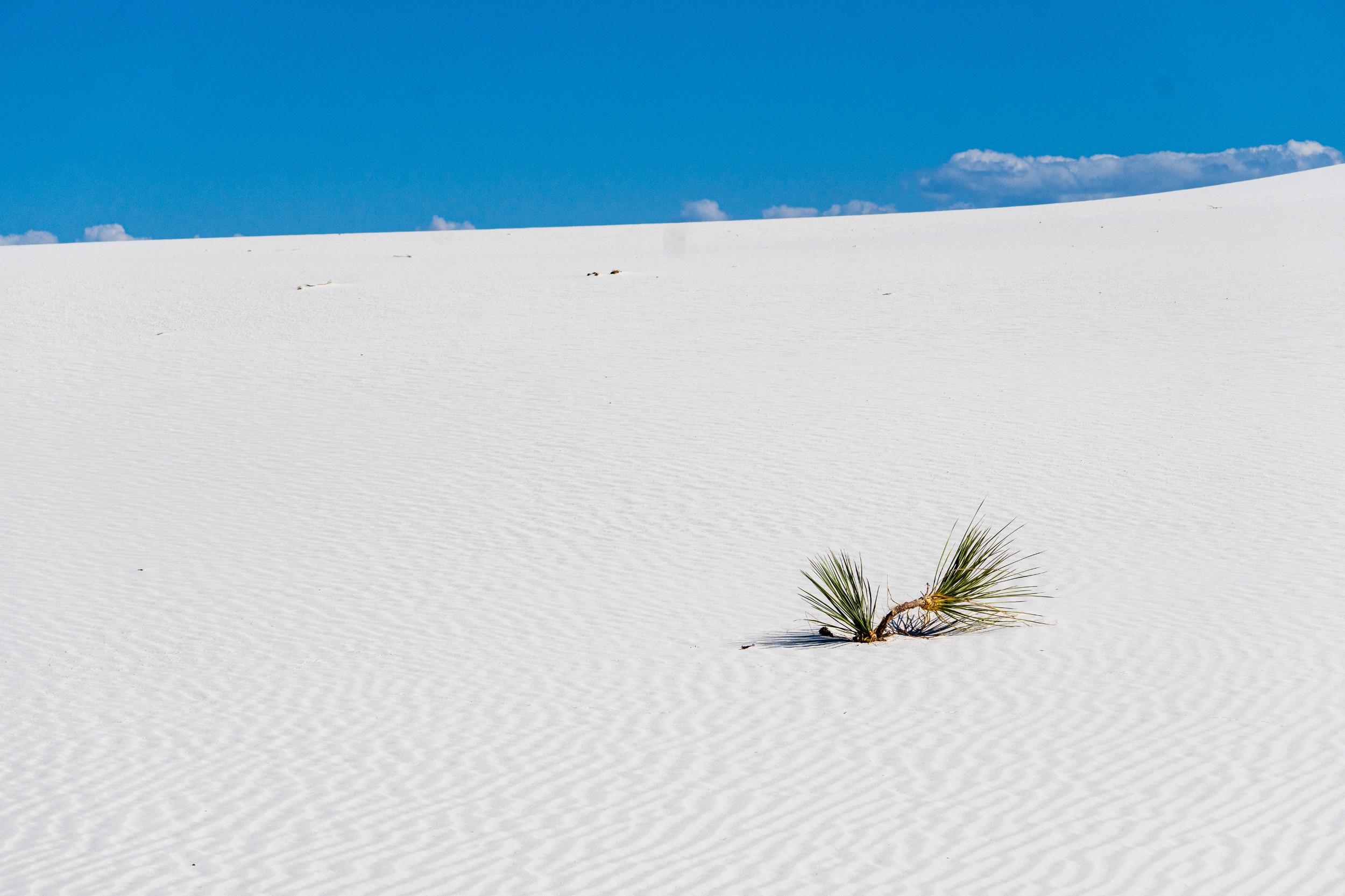 USA 2024 5 Sterne 65